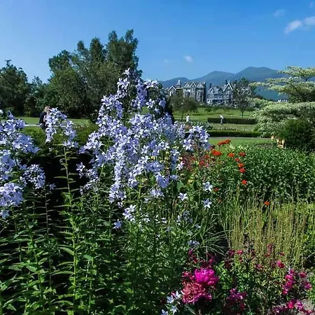 The Smithy 博罗代尔谷